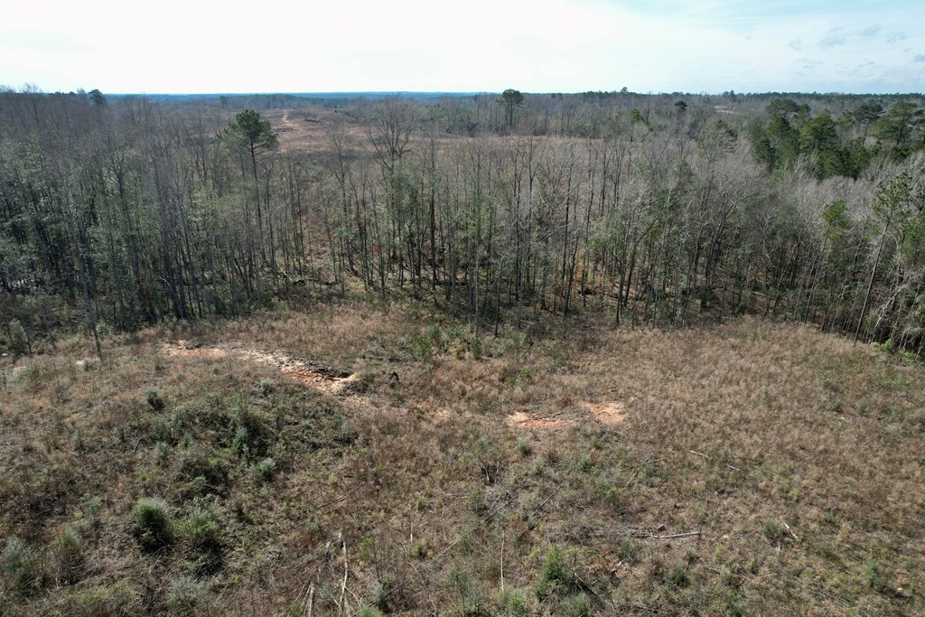 Tbd Hawkins Road Harrisville, MS 39082 - Photo 6 of 27 Photo 6