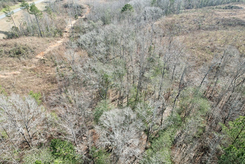 Tbd Hawkins Road Harrisville, MS 39082 - Photo 8 of 27 Photo 8