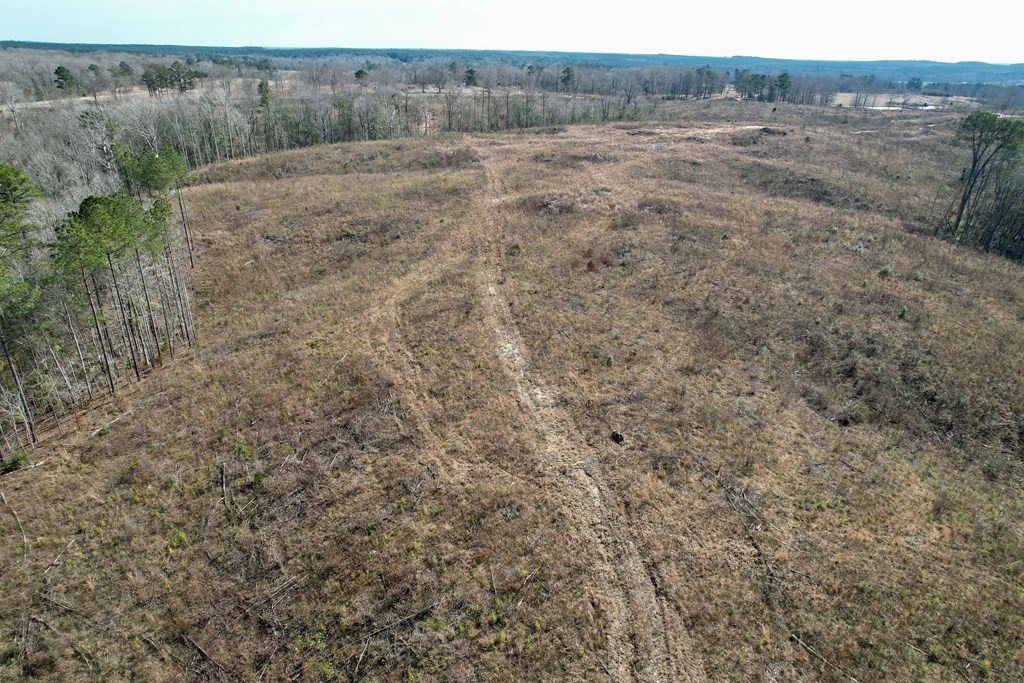 Tbd Hawkins Road Harrisville, MS 39082 - Photo 9 of 27 Photo 9
