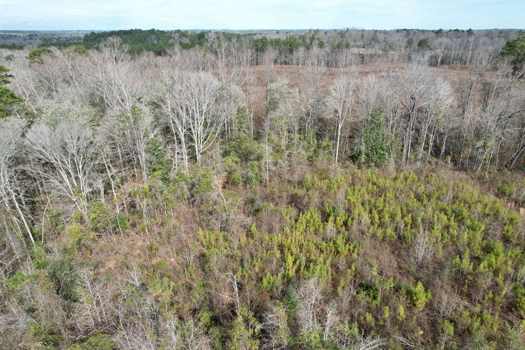 Tbd Hawkins Road Harrisville, MS 39082 - Photo 10 of 27 Photo 10