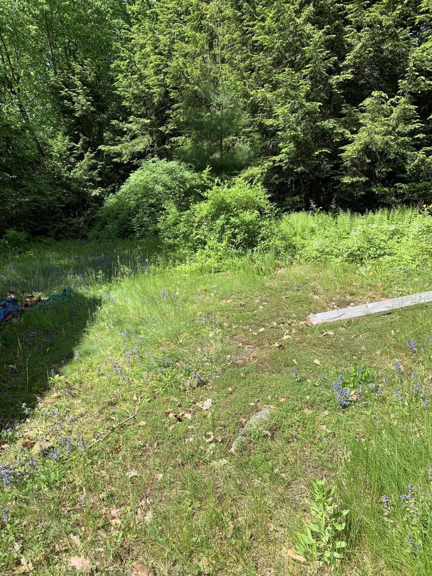 31 Lower Rainbow Road Otis, MA 01029 - Photo 13 of 15 a view of a garden with a lake