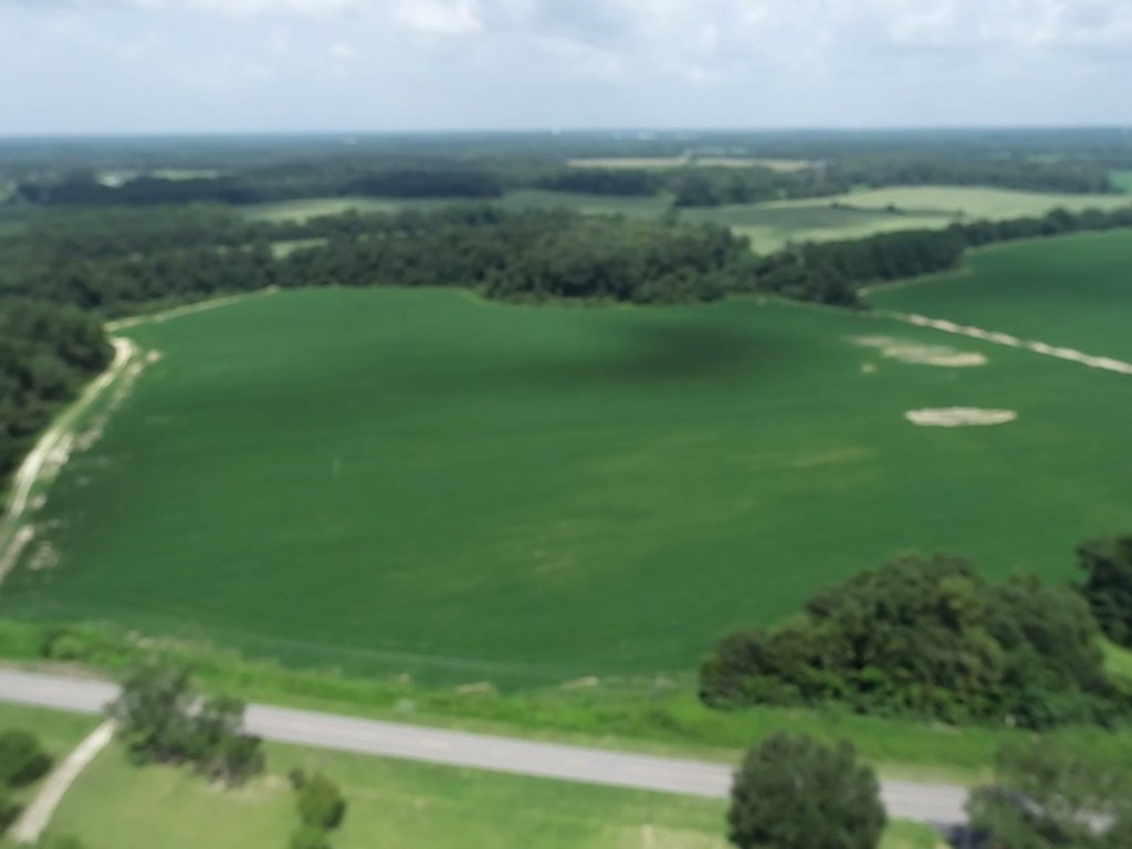 76.47-ac Eddins Road Dothan, AL 36301 - Photo 37 of 44