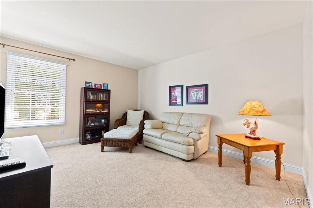 10142 Tanbridge Road St. Louis, MO 63128 - Photo 35 of 46 Gallery Image 35