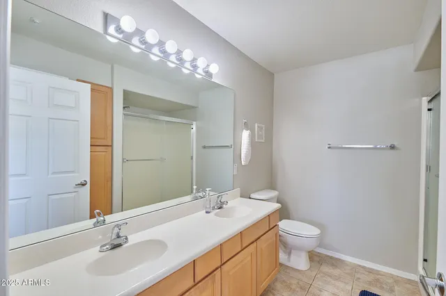 a bathroom with a sink a toilet and a large mirror