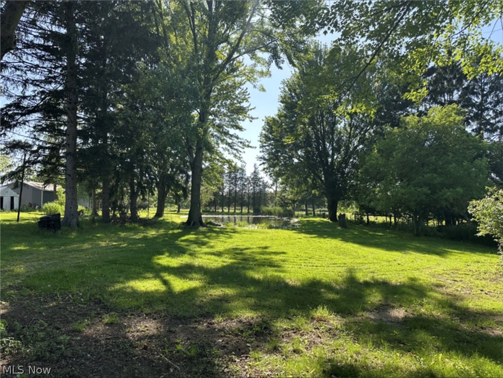 10970 Durkee Road Grafton, OH 44044 - Photo 8 of 9 Expansive grassy yard area featuring mature trees and a visible body of water