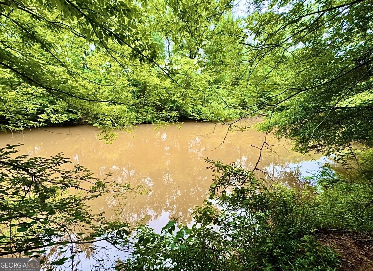 0 Rocky Creek Road Thomaston, GA 30286 - Photo 26 of 30