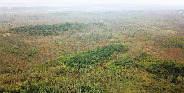 $375,000 | Tbd 340th Street, New York Mills, MN 56567