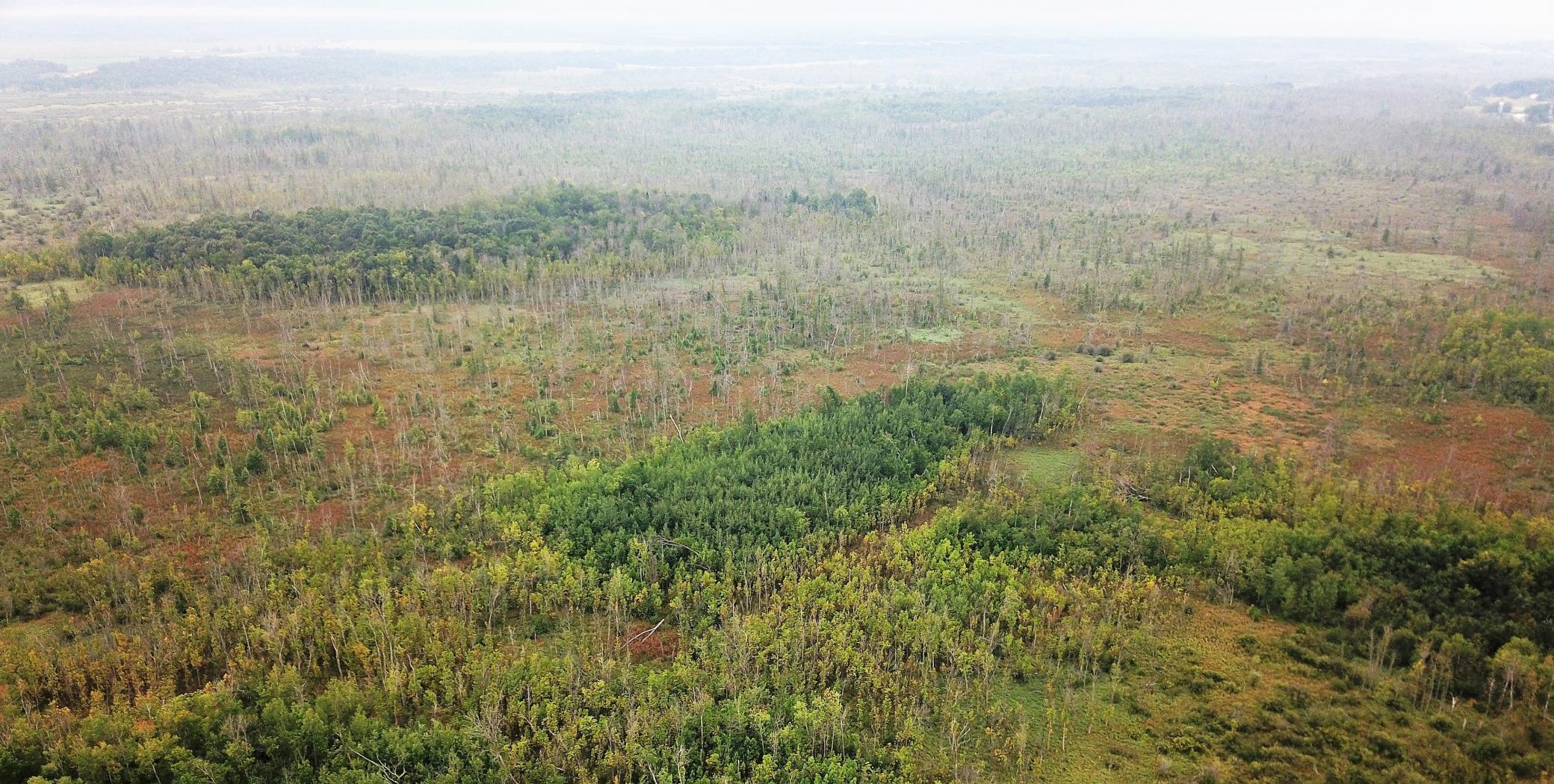 Tbd 340th Street New York Mills, MN 56567 - Photo 1 of 51