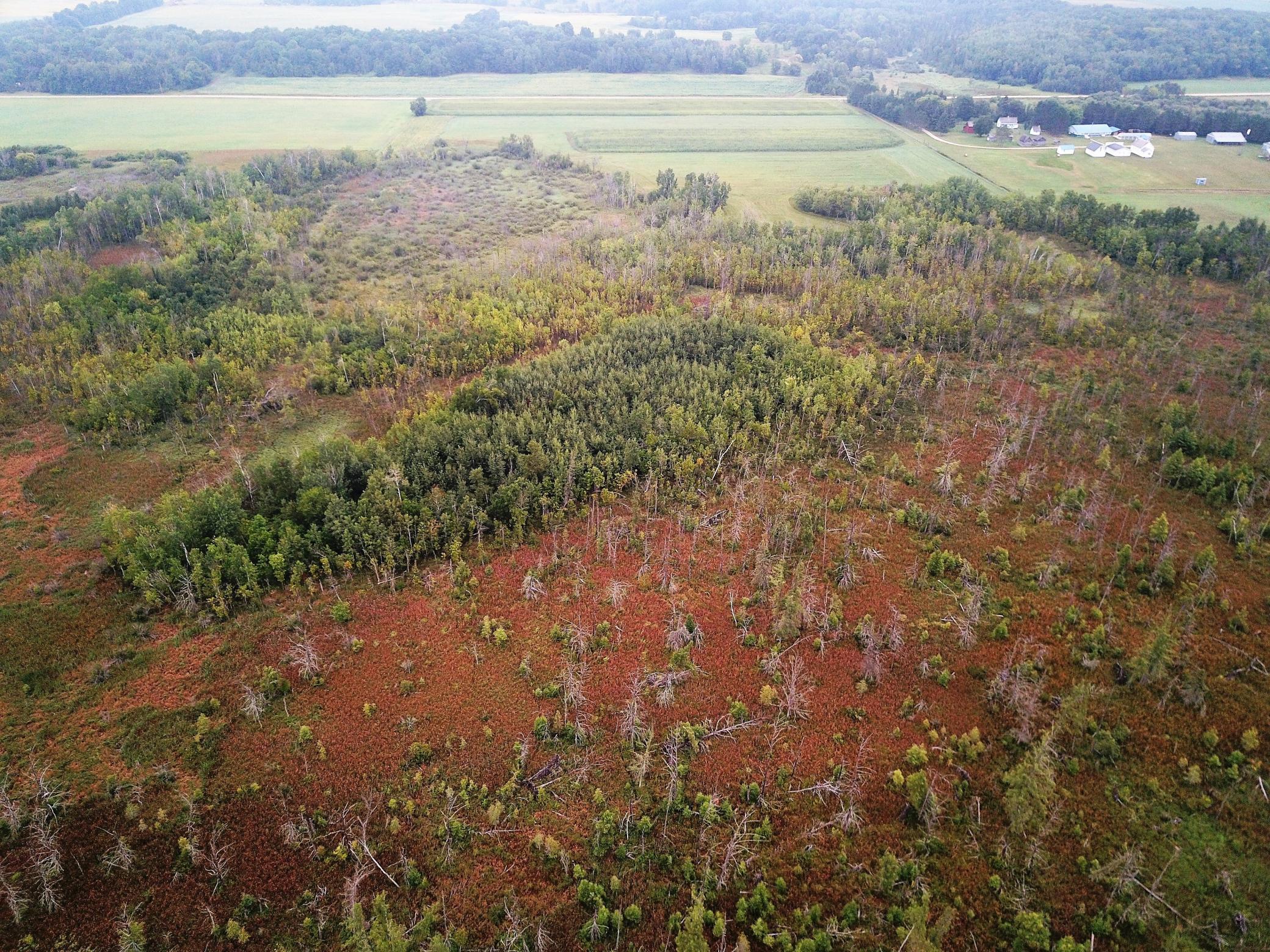 Tbd 340th Street New York Mills, MN 56567 - Photo 12 of 51