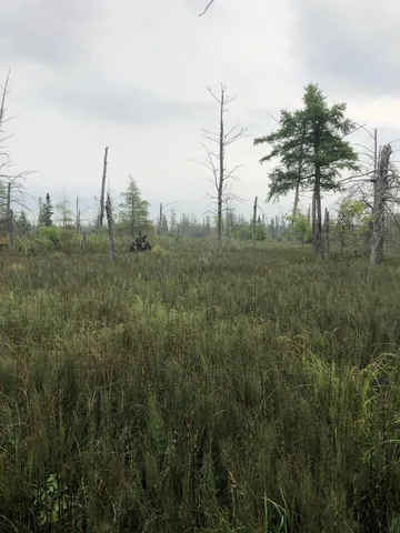 $375,000 | Tbd 340th Street, New York Mills, MN 56567