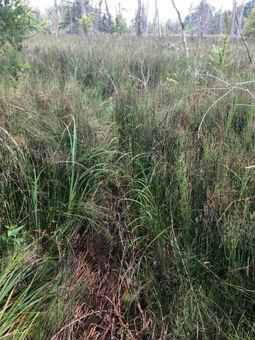 $375,000 | Tbd 340th Street, New York Mills, MN 56567