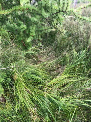 $375,000 | Tbd 340th Street, New York Mills, MN 56567