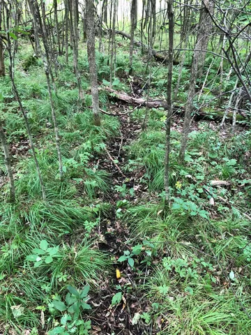 $375,000 | Tbd 340th Street, New York Mills, MN 56567