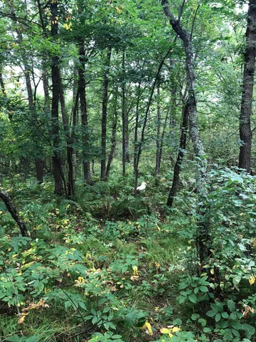 $375,000 | Tbd 340th Street, New York Mills, MN 56567