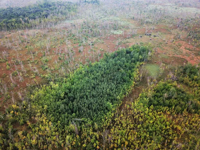 $375,000 | Tbd 340th Street, New York Mills, MN 56567