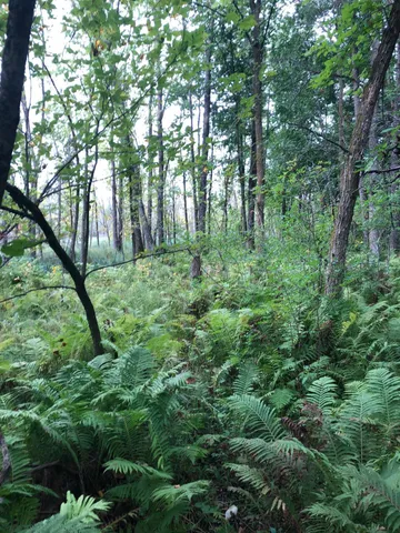 $375,000 | Tbd 340th Street, New York Mills, MN 56567