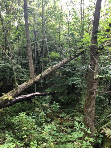 $375,000 | Tbd 340th Street, New York Mills, MN 56567