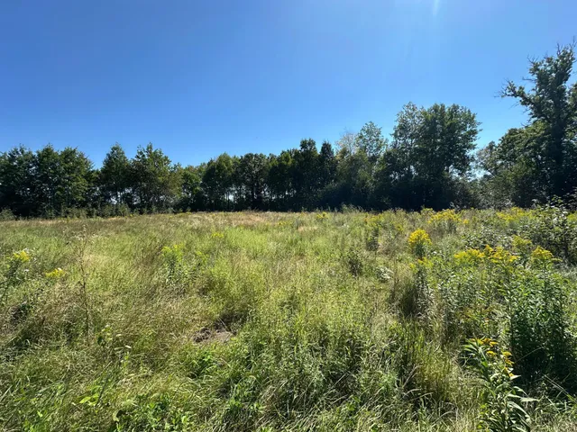 $375,000 | Tbd 340th Street, New York Mills, MN 56567