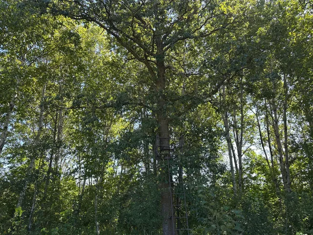 $375,000 | Tbd 340th Street, New York Mills, MN 56567