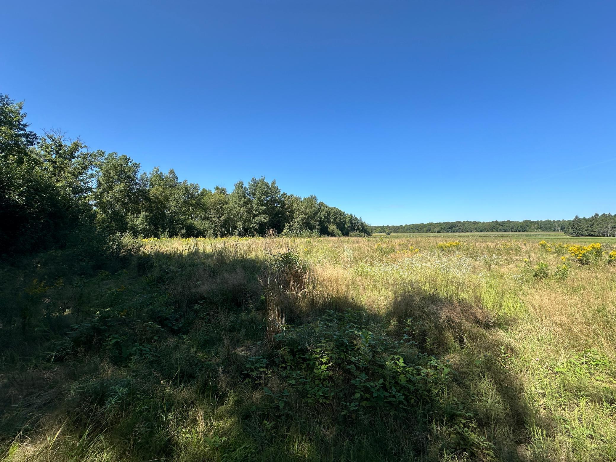 Tbd 340th Street New York Mills, MN 56567 - Photo 44 of 51