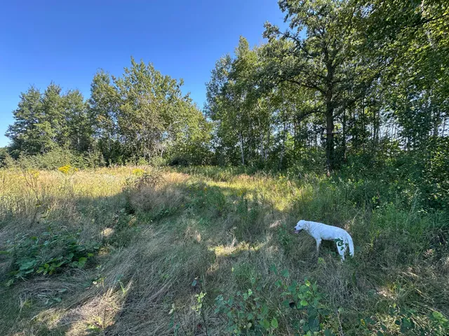 $375,000 | Tbd 340th Street, New York Mills, MN 56567