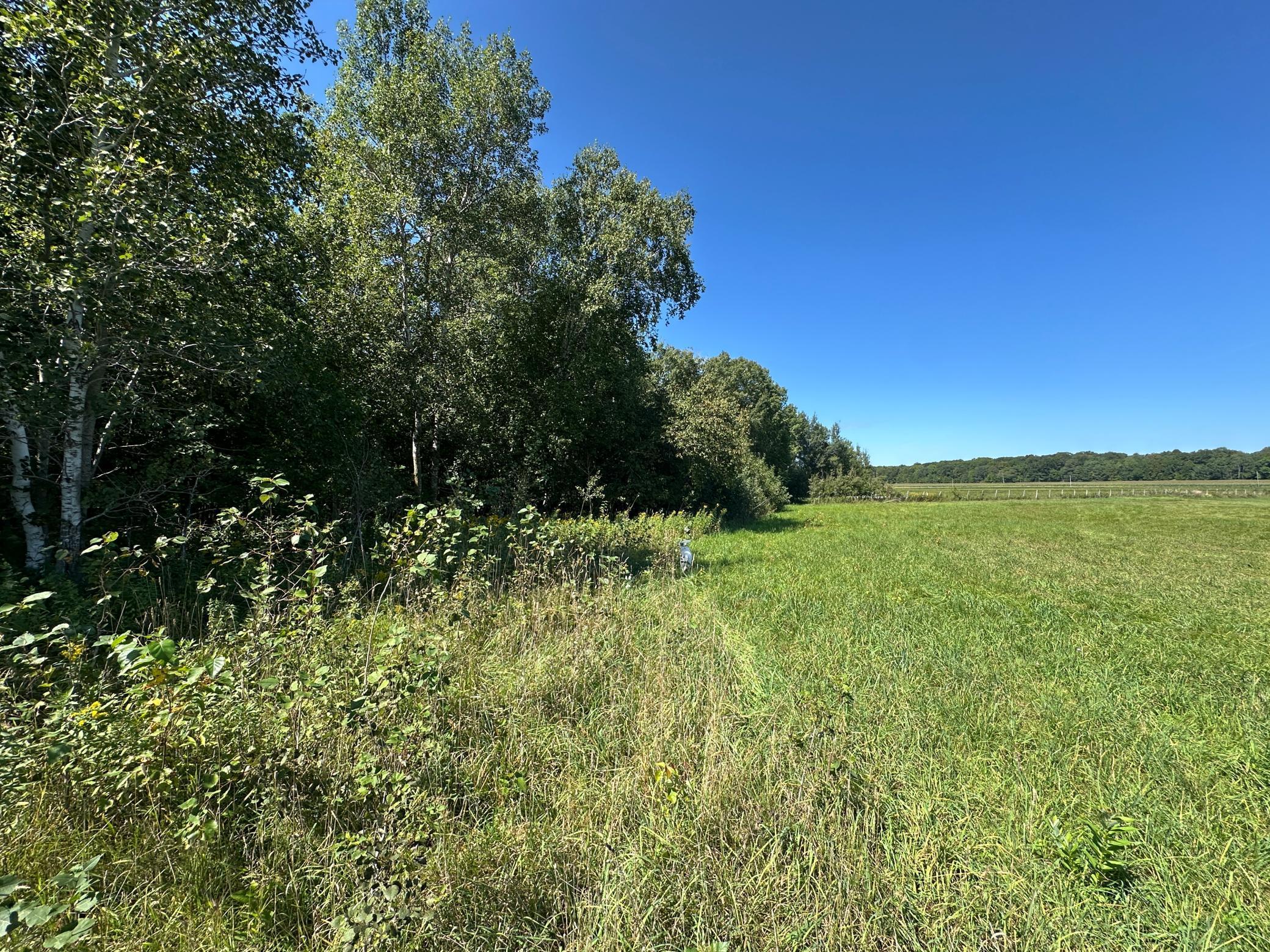 Tbd 340th Street New York Mills, MN 56567 - Photo 47 of 51