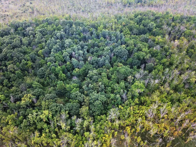 $375,000 | Tbd 340th Street, New York Mills, MN 56567