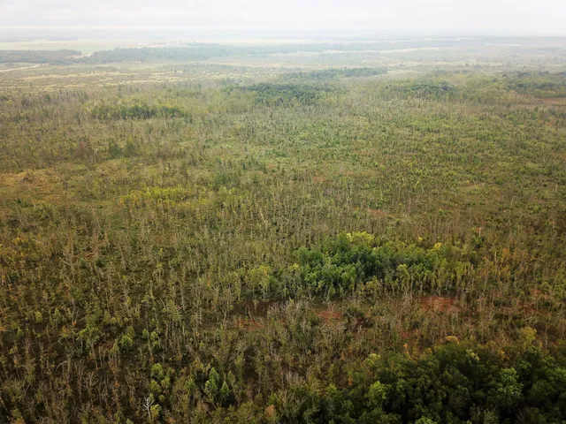 $375,000 | Tbd 340th Street, New York Mills, MN 56567