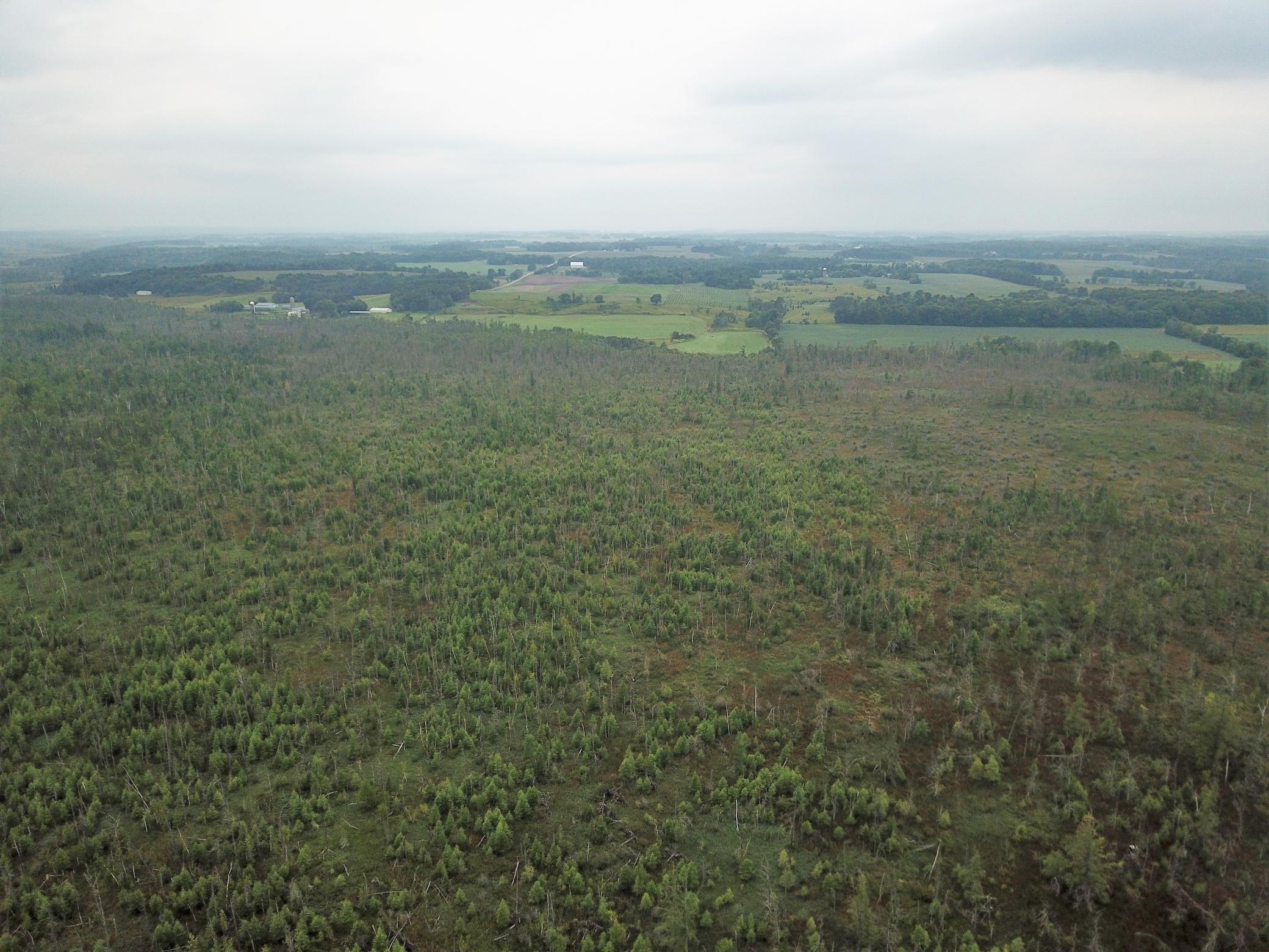 Tbd 340th Street New York Mills, MN 56567 - Photo 8 of 51