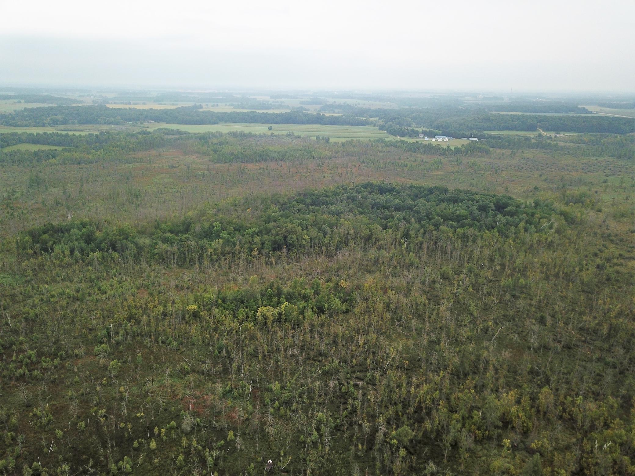 Tbd 340th Street New York Mills, MN 56567 - Photo 10 of 51