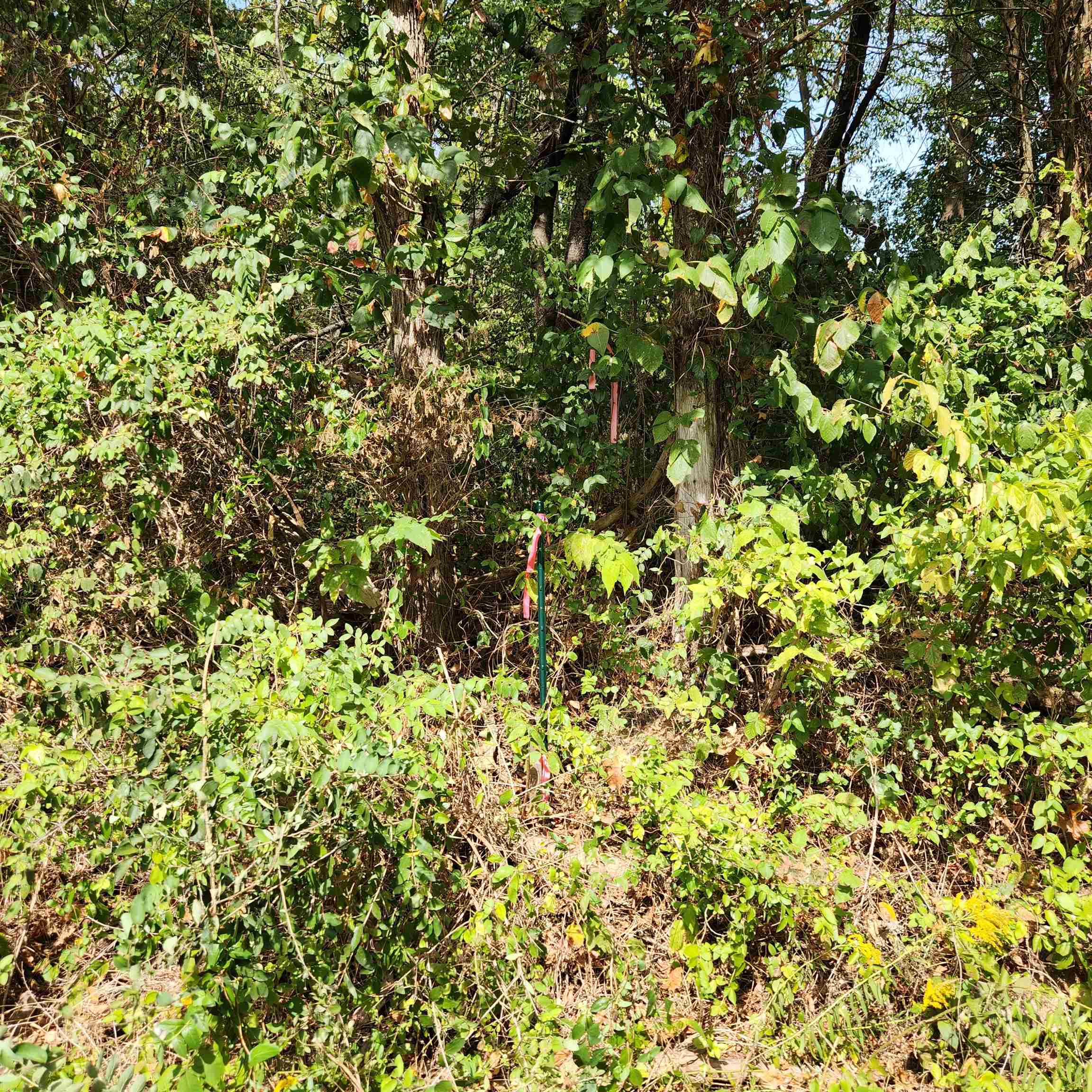 0 Mill Race Road Verona, VA 24482 - Photo 23 of 28