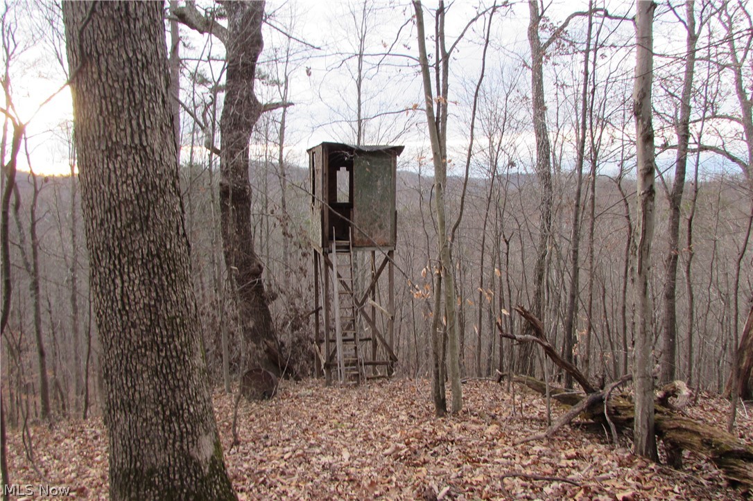 1821 Racy Road Petroleum, WV 26161 - Photo 16 of 22