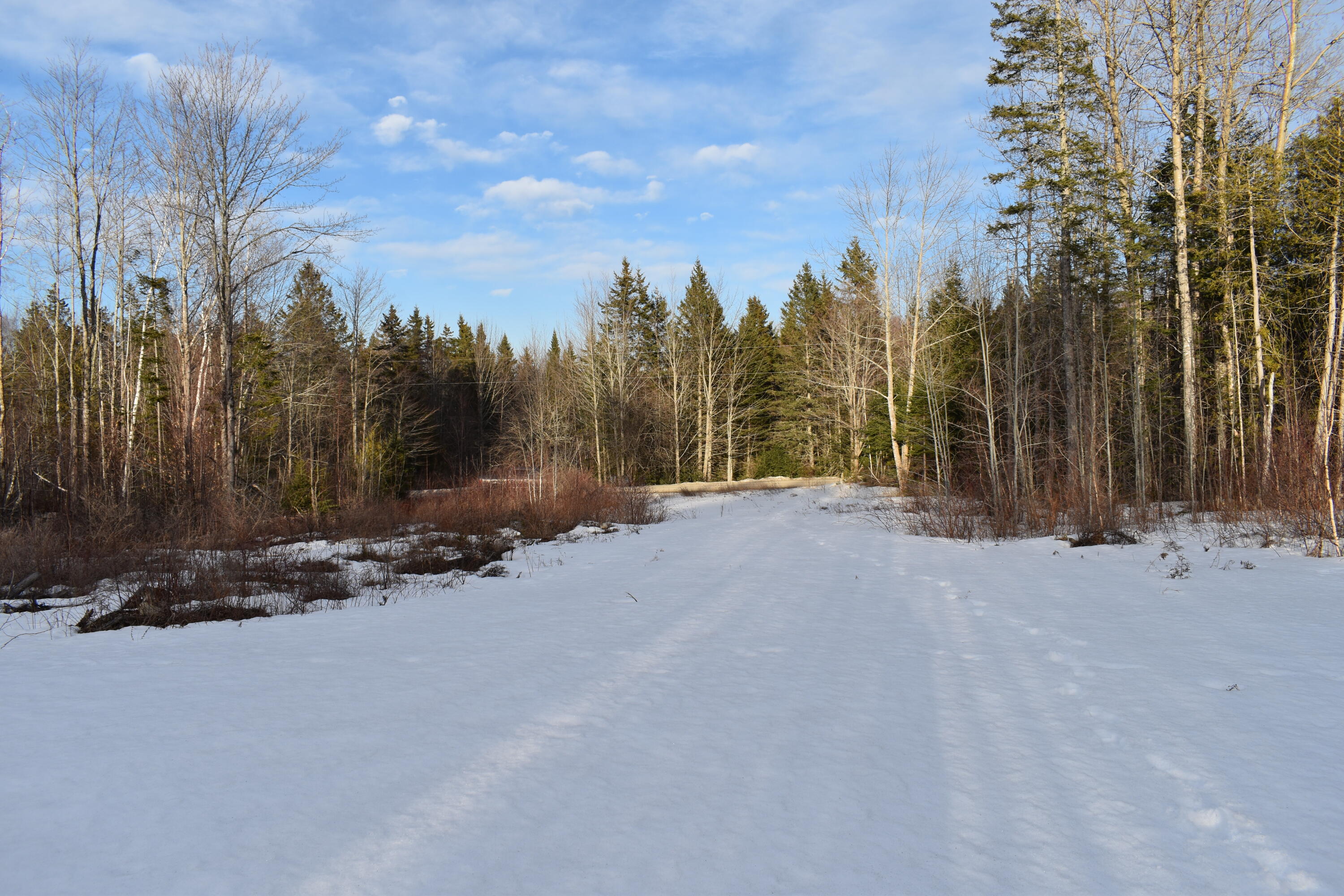 169 Curtis Farm Road Lincoln, ME 04457 - Photo 1 of 13 DSC_0113