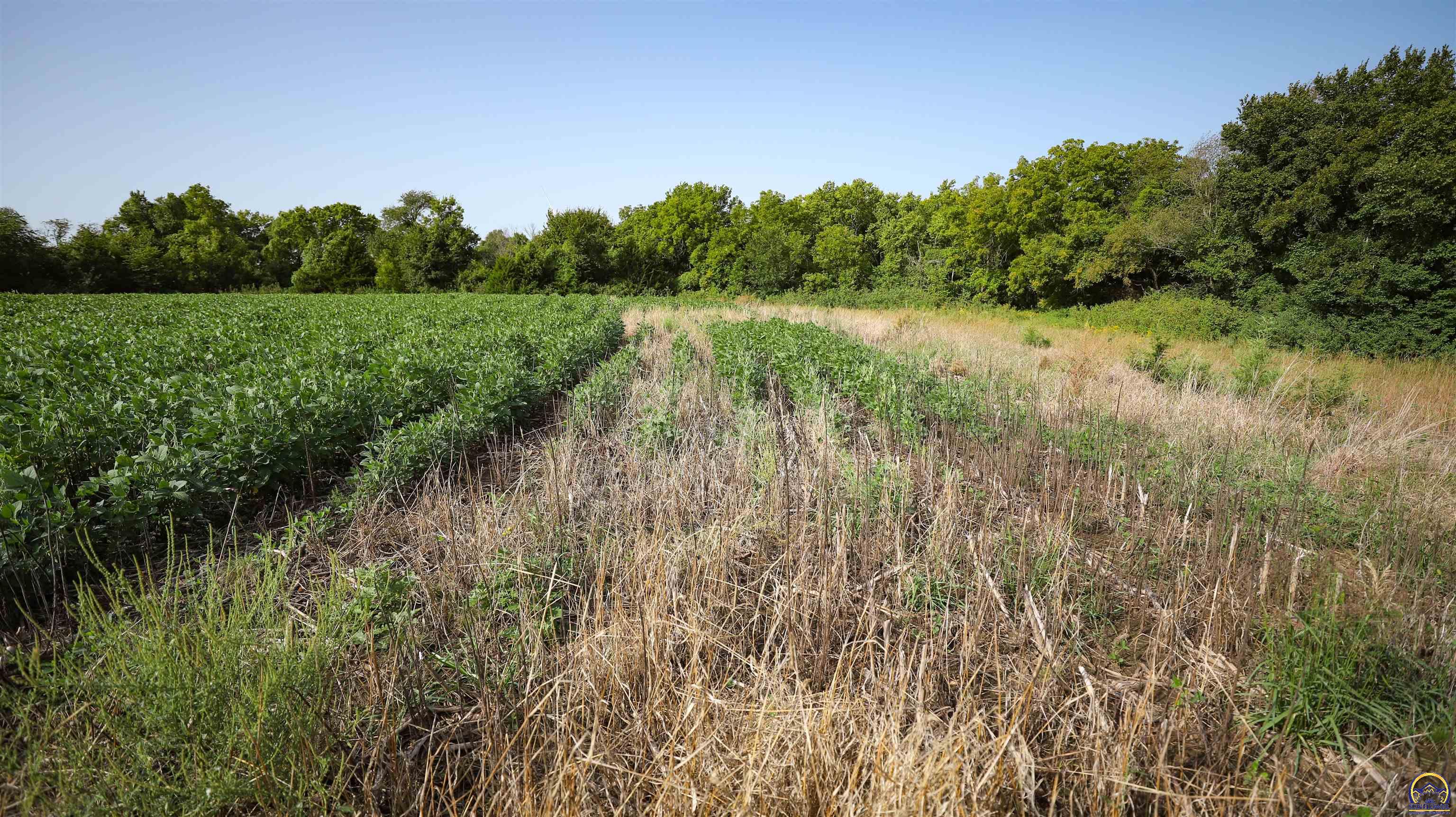 0 Trefoil Road Waverly, KS 66871 - Photo 84 of 99 Gallery Image 84