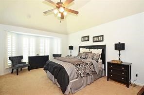 25411 Overbrook Terrace Lane Katy, TX 77494 - Photo 10 of 30 Master suite with a bay window sitting area to get away from stress and strife of every day life.