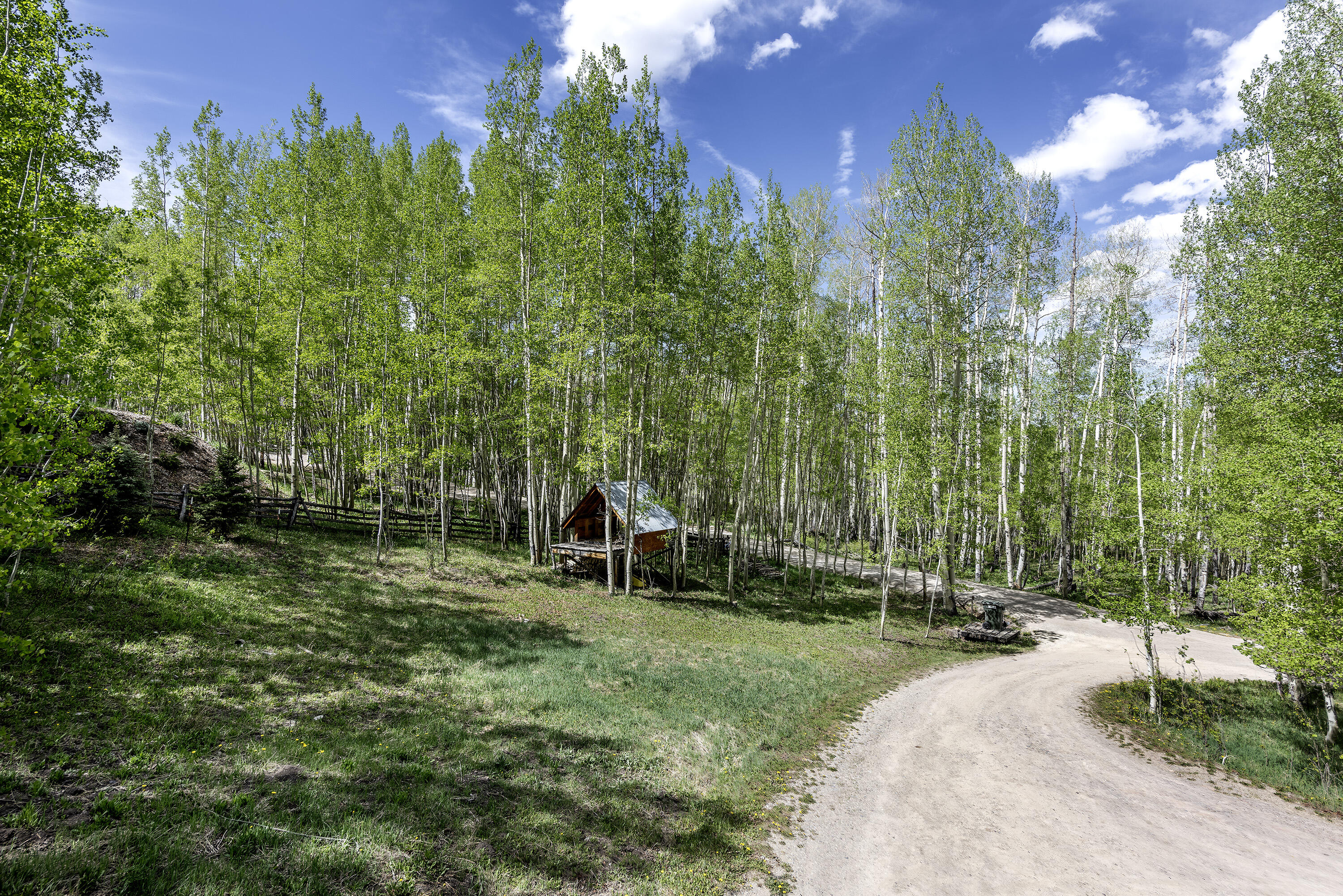 150 Fox Farm Road Telluride, CO 81435 - Photo 20 of 69 150 Fox Farm Rd_060324_023