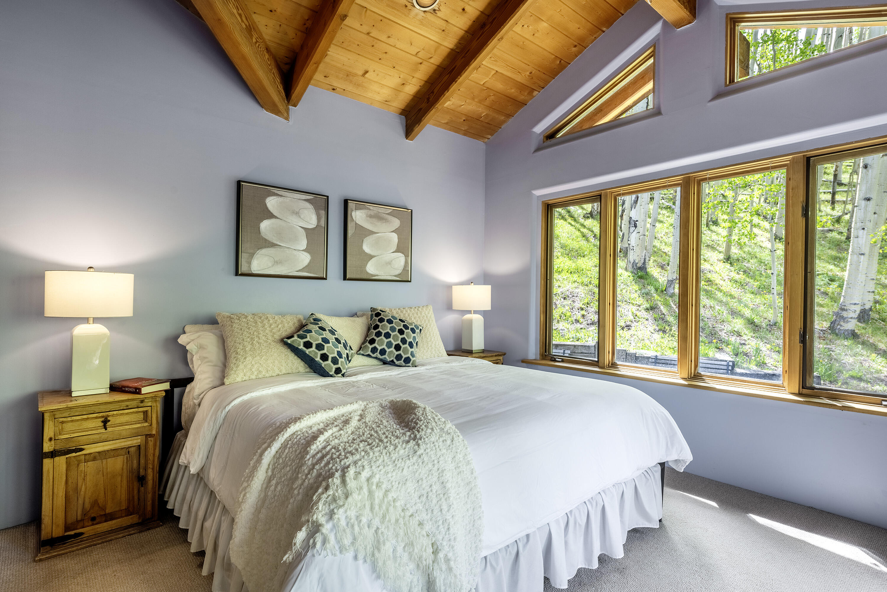 150 Fox Farm Road Telluride, CO 81435 - Photo 22 of 69 150 Fox Farm Rd_060324_025