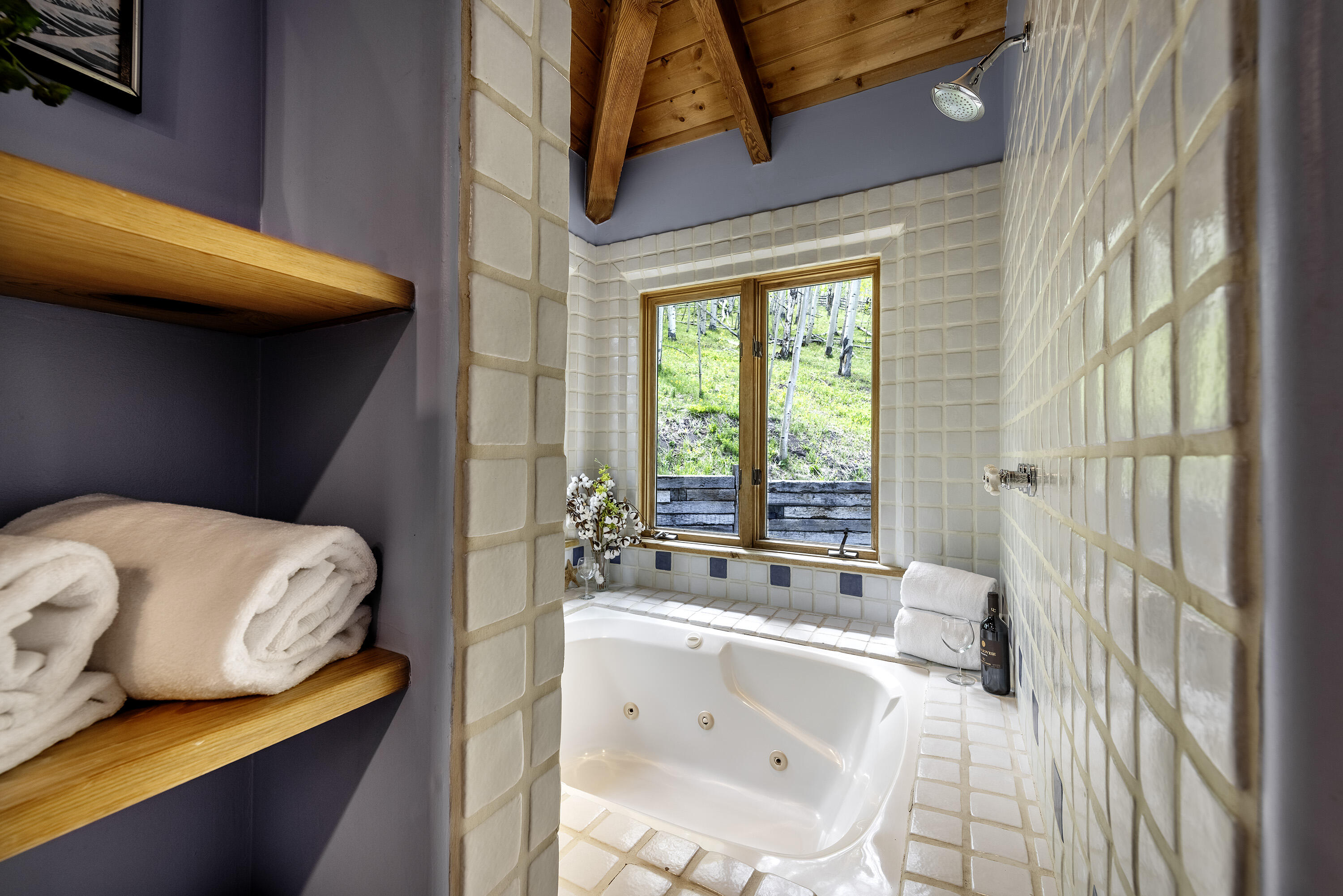 150 Fox Farm Road Telluride, CO 81435 - Photo 24 of 69 150 Fox Farm Rd_060324_027