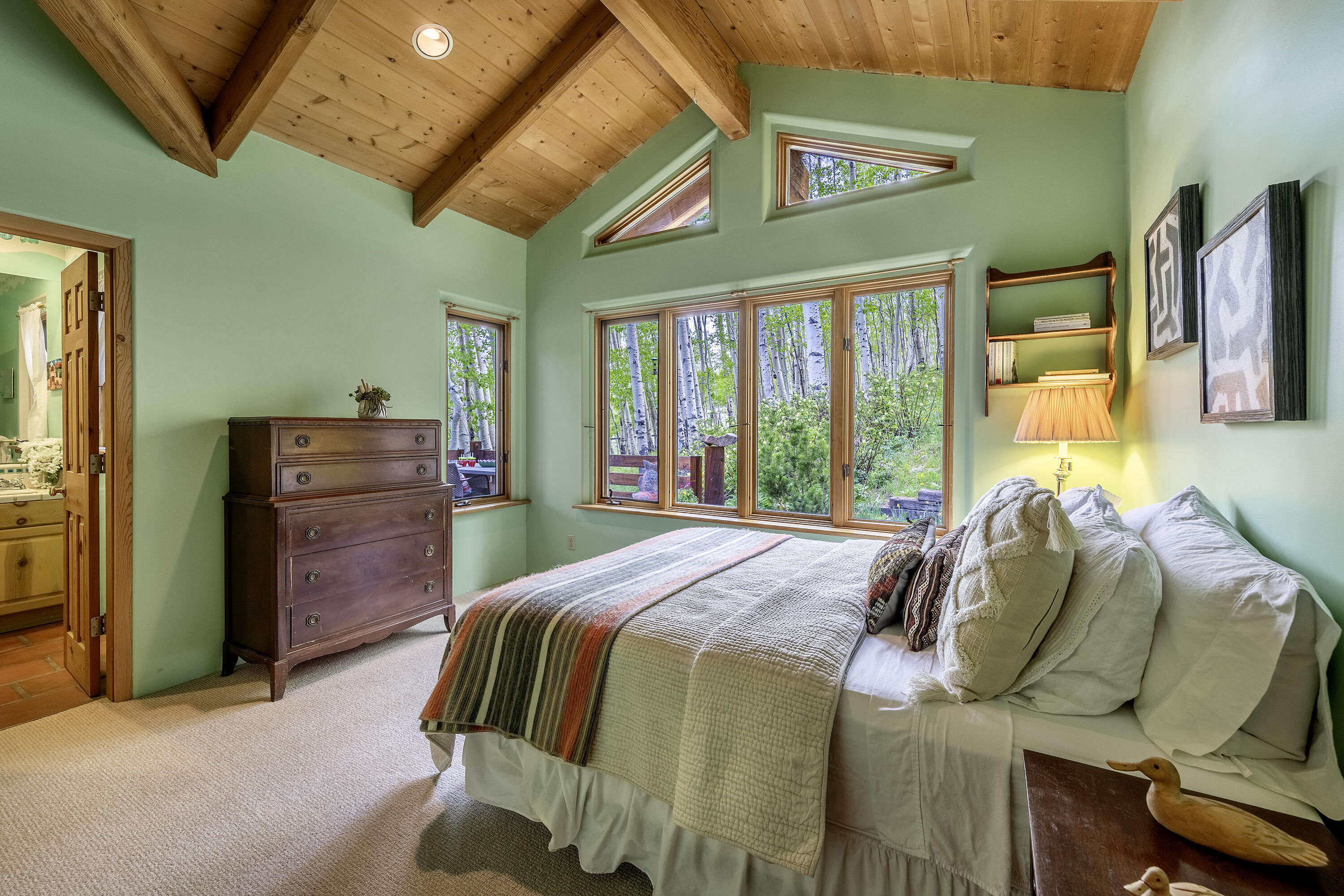 150 Fox Farm Road Telluride, CO 81435 - Photo 28 of 69 150 Fox Farm Rd_060324_031