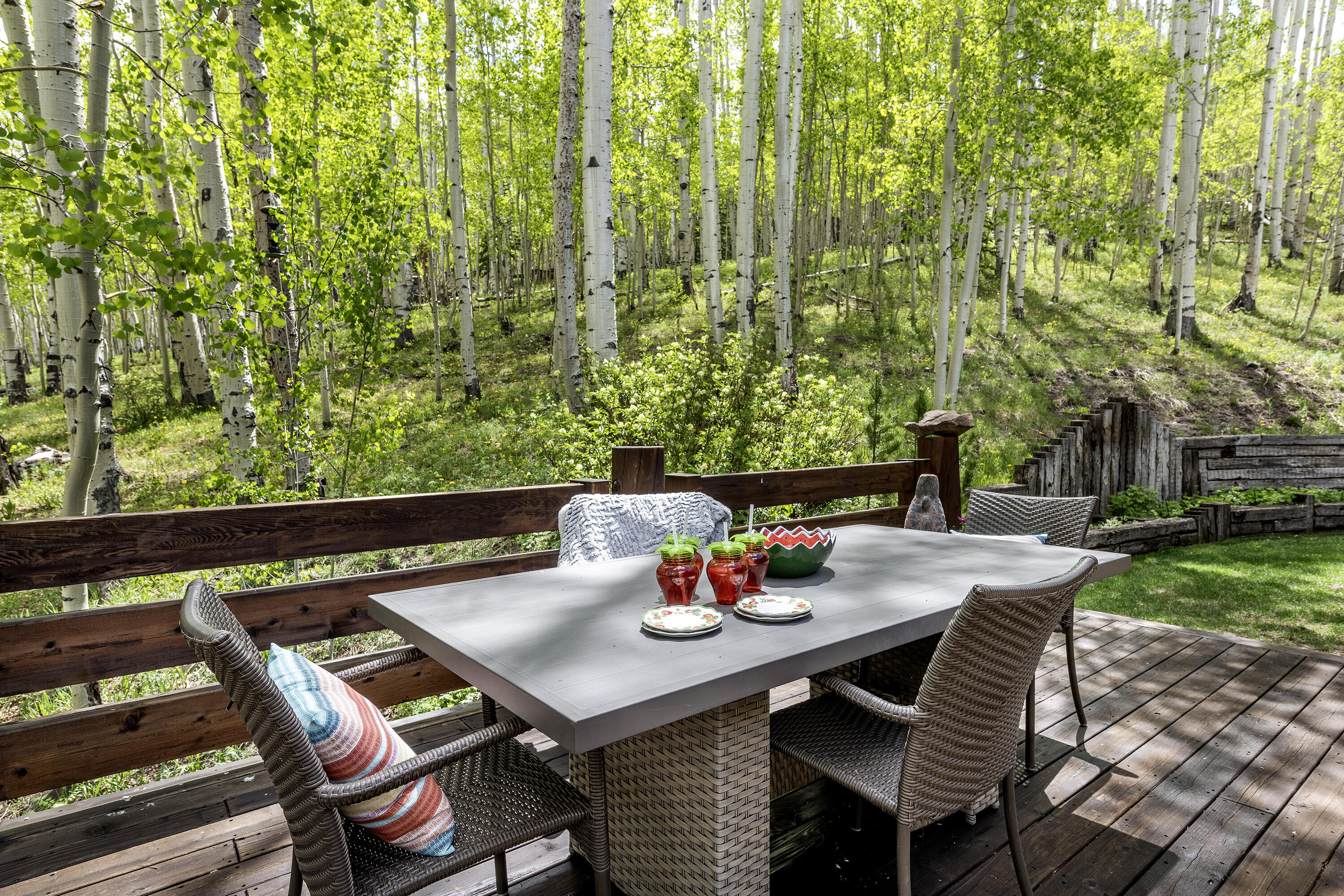 150 Fox Farm Road Telluride, CO 81435 - Photo 32 of 69 150 Fox Farm Rd_060324_035