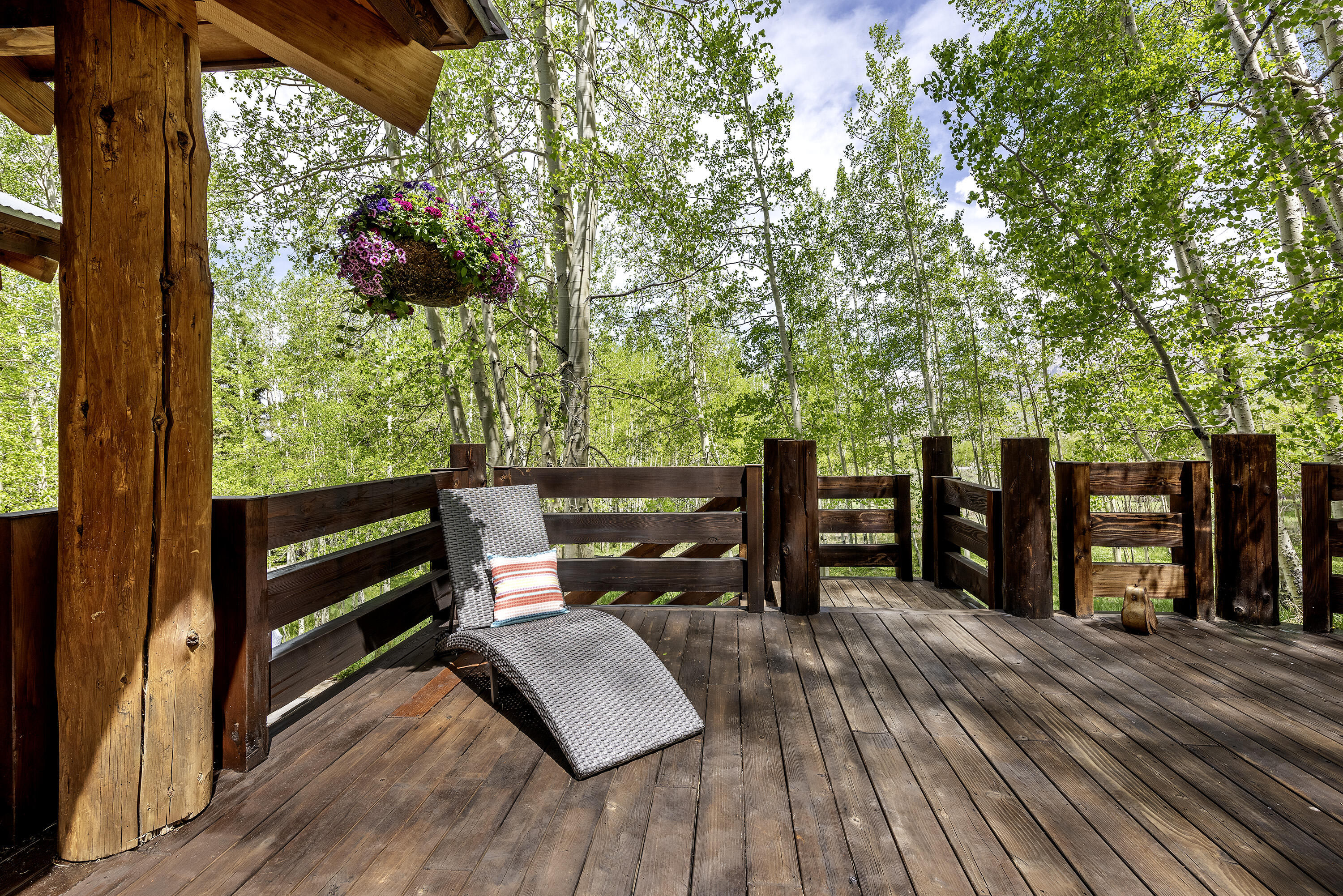 150 Fox Farm Road Telluride, CO 81435 - Photo 33 of 69 150 Fox Farm Rd_060324_036