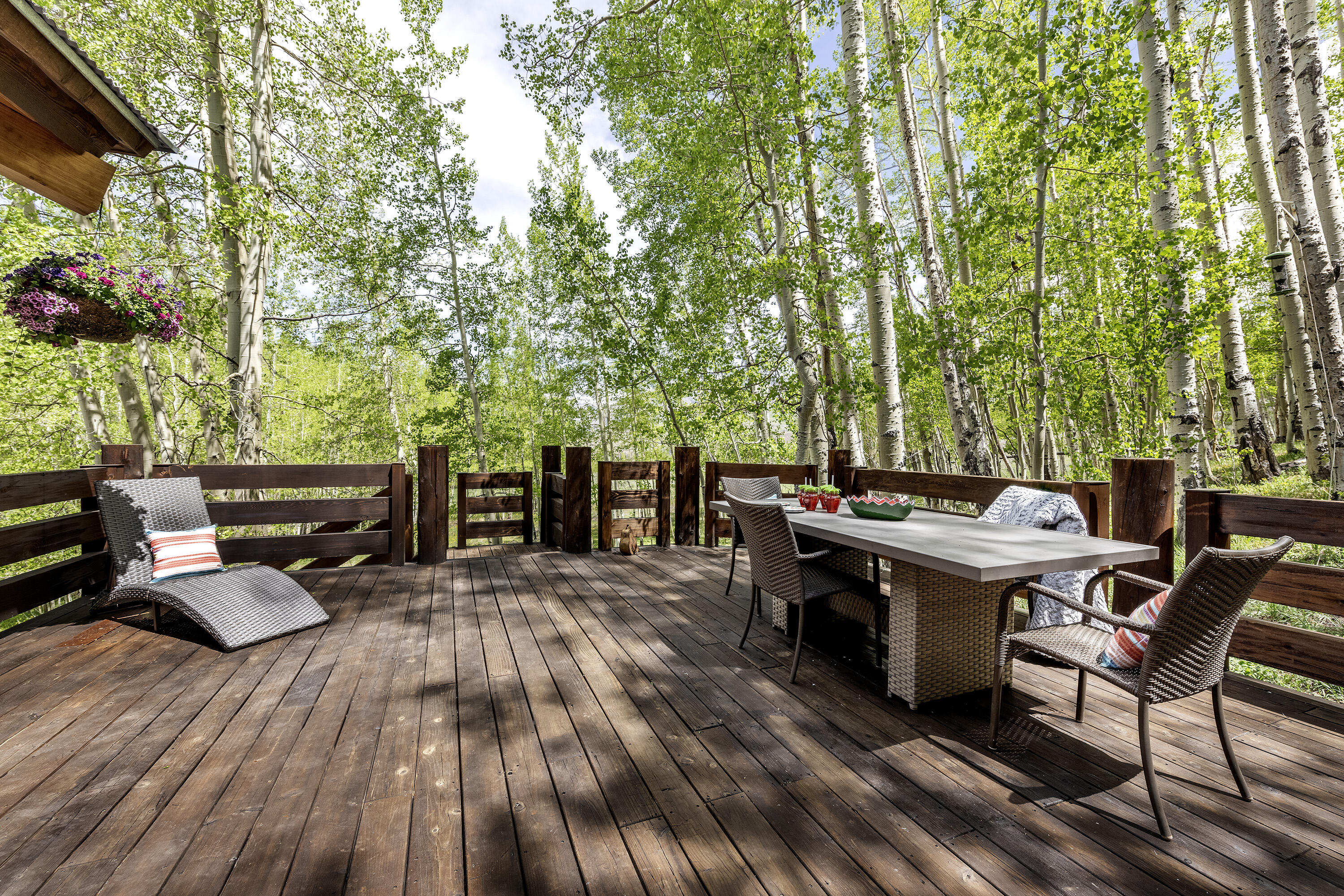 150 Fox Farm Road Telluride, CO 81435 - Photo 35 of 69 150 Fox Farm Rd_060324_039