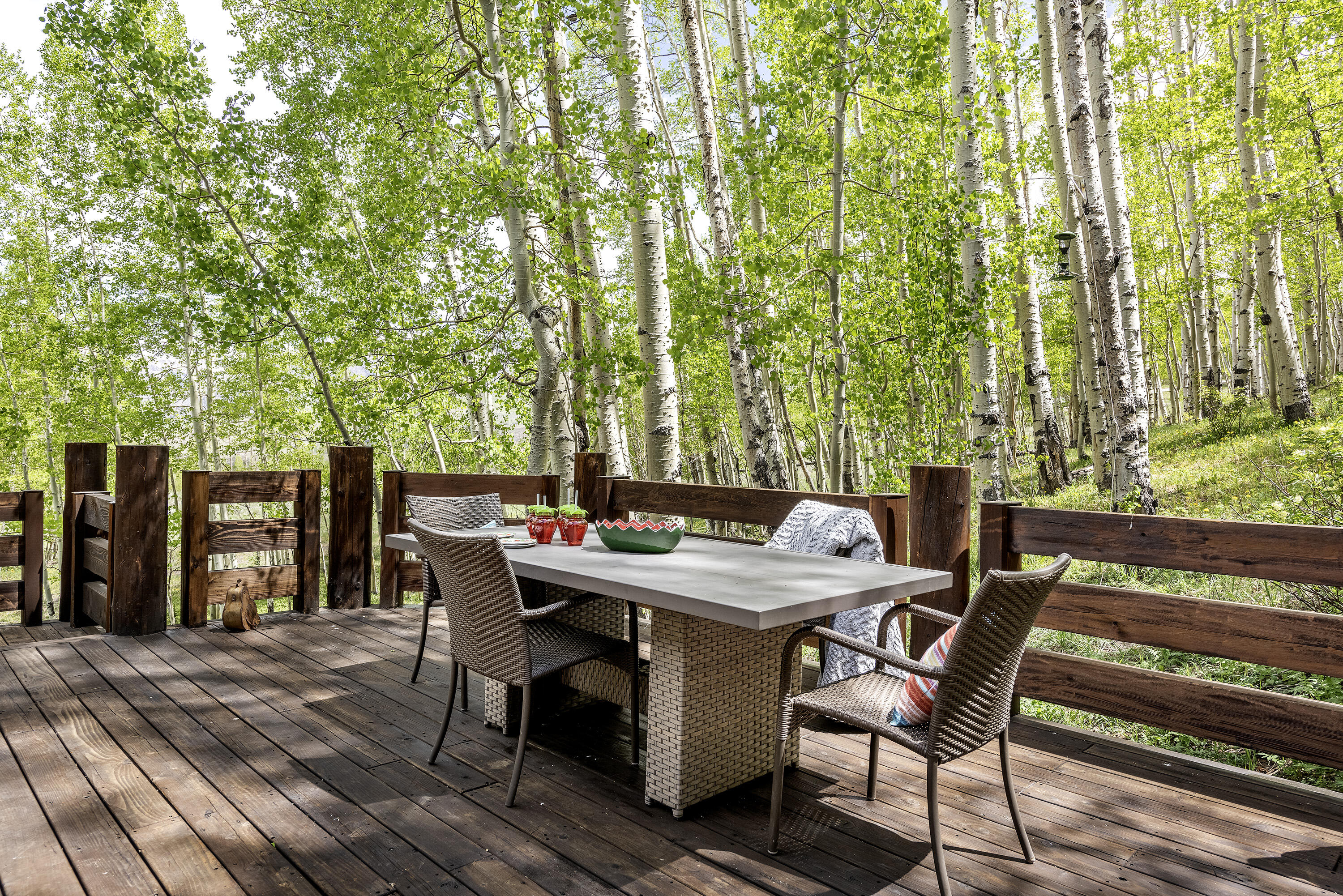 150 Fox Farm Road Telluride, CO 81435 - Photo 36 of 69 150 Fox Farm Rd_060324_040