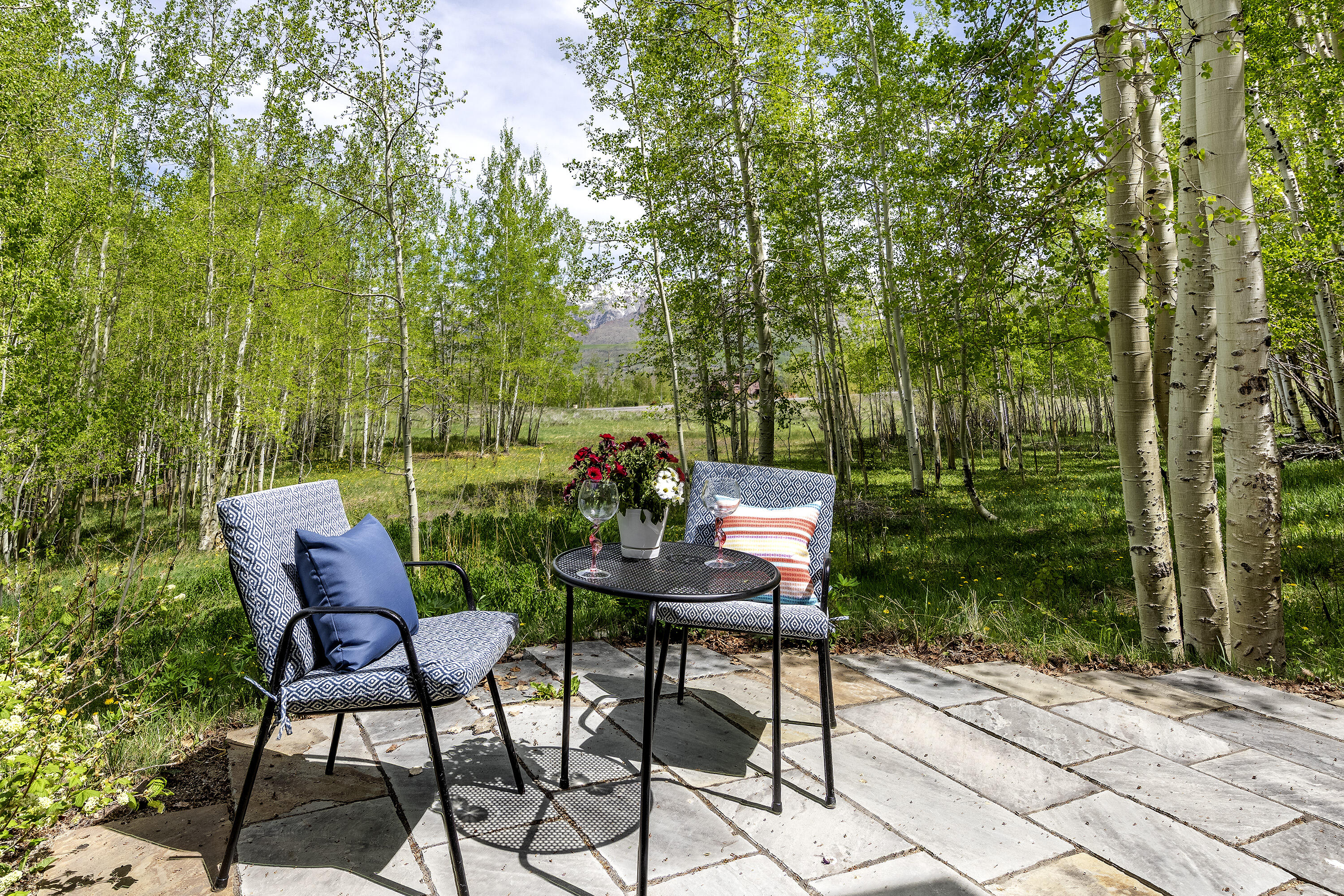 150 Fox Farm Road Telluride, CO 81435 - Photo 37 of 69 150 Fox Farm Rd_060324_041