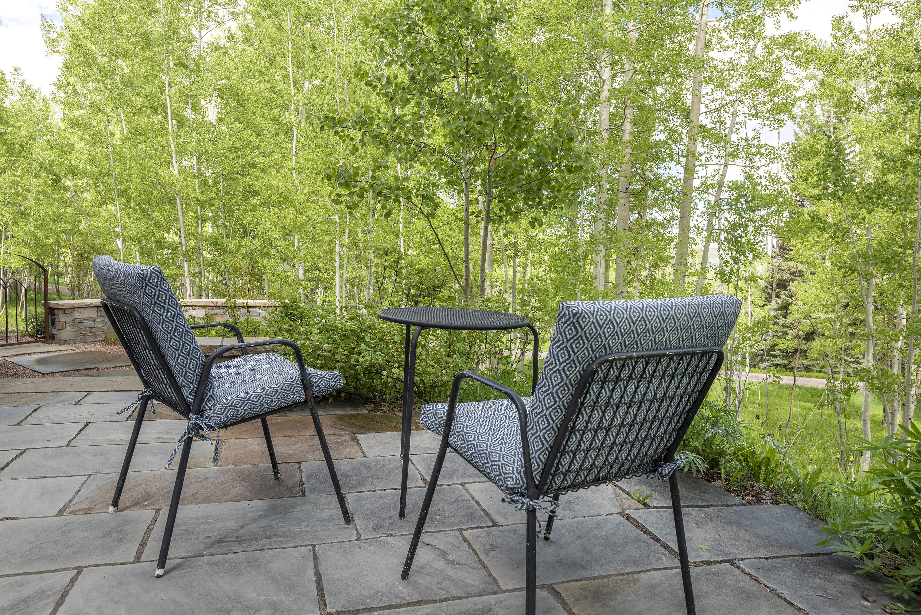 150 Fox Farm Road Telluride, CO 81435 - Photo 57 of 69 Hardscaped Northern patio