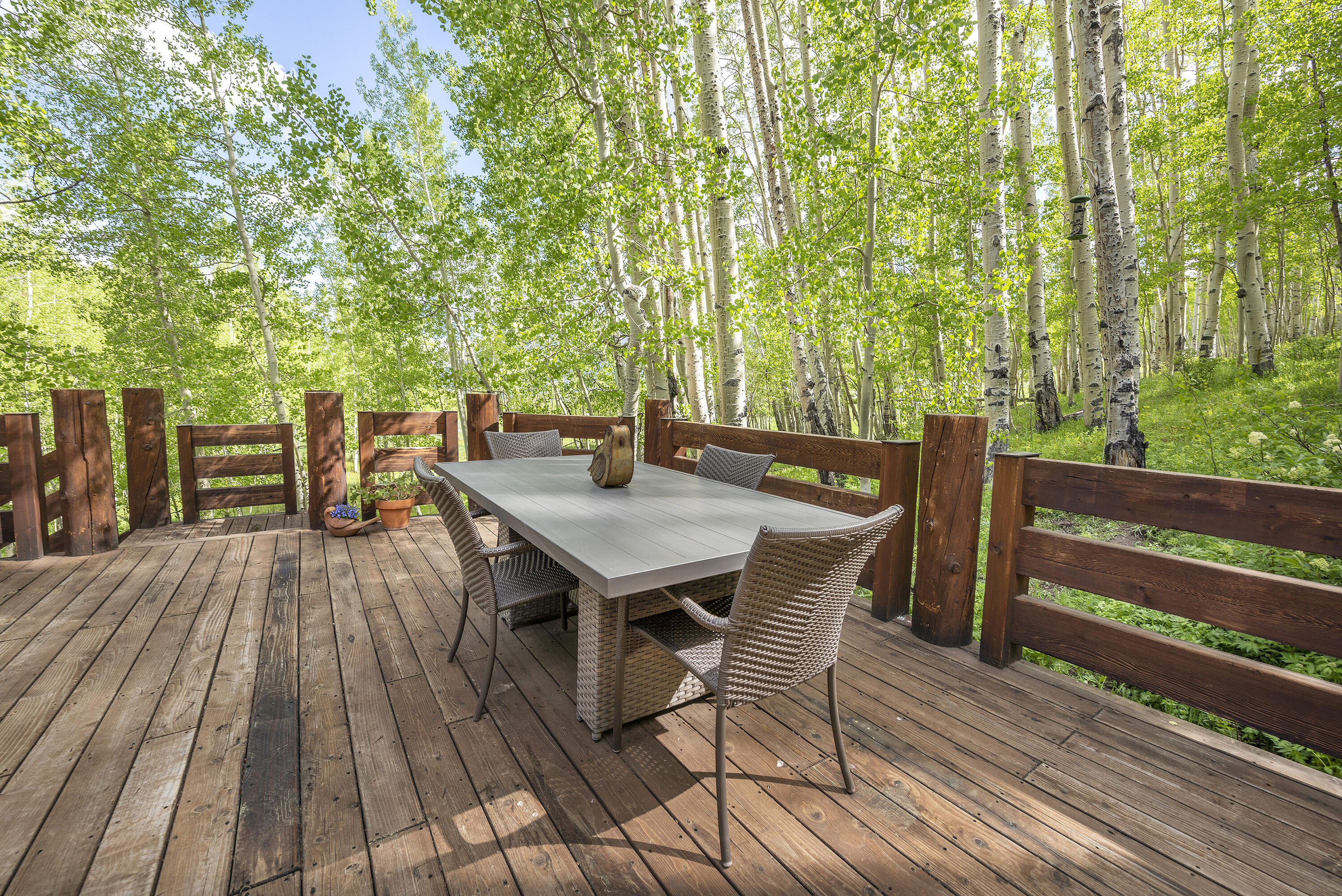 150 Fox Farm Road Telluride, CO 81435 - Photo 58 of 69 Eastern deck dining
