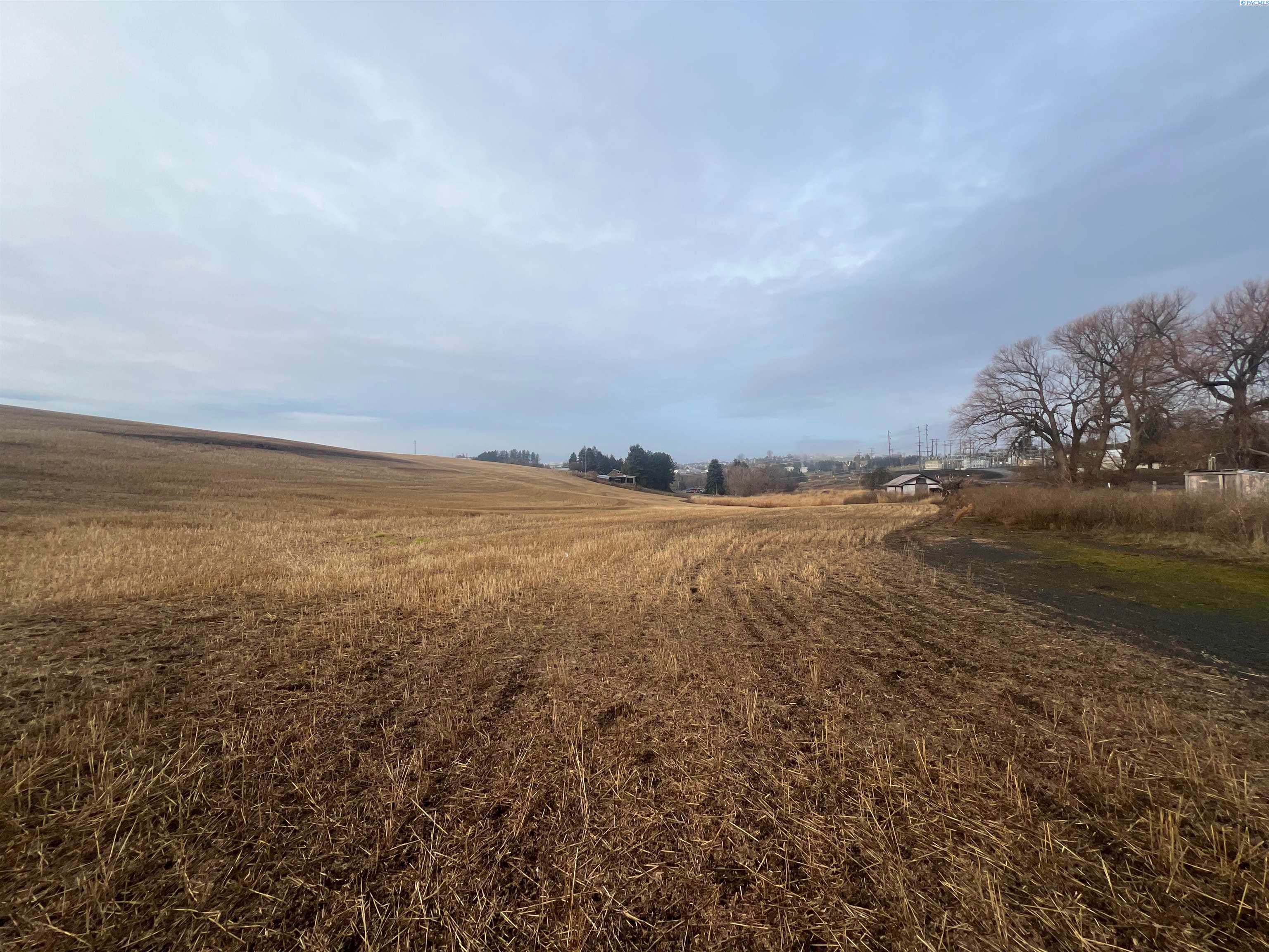 303 Old Moscow Road Pullman, WA 99163 - Photo 7 of 10 Gallery Image 7