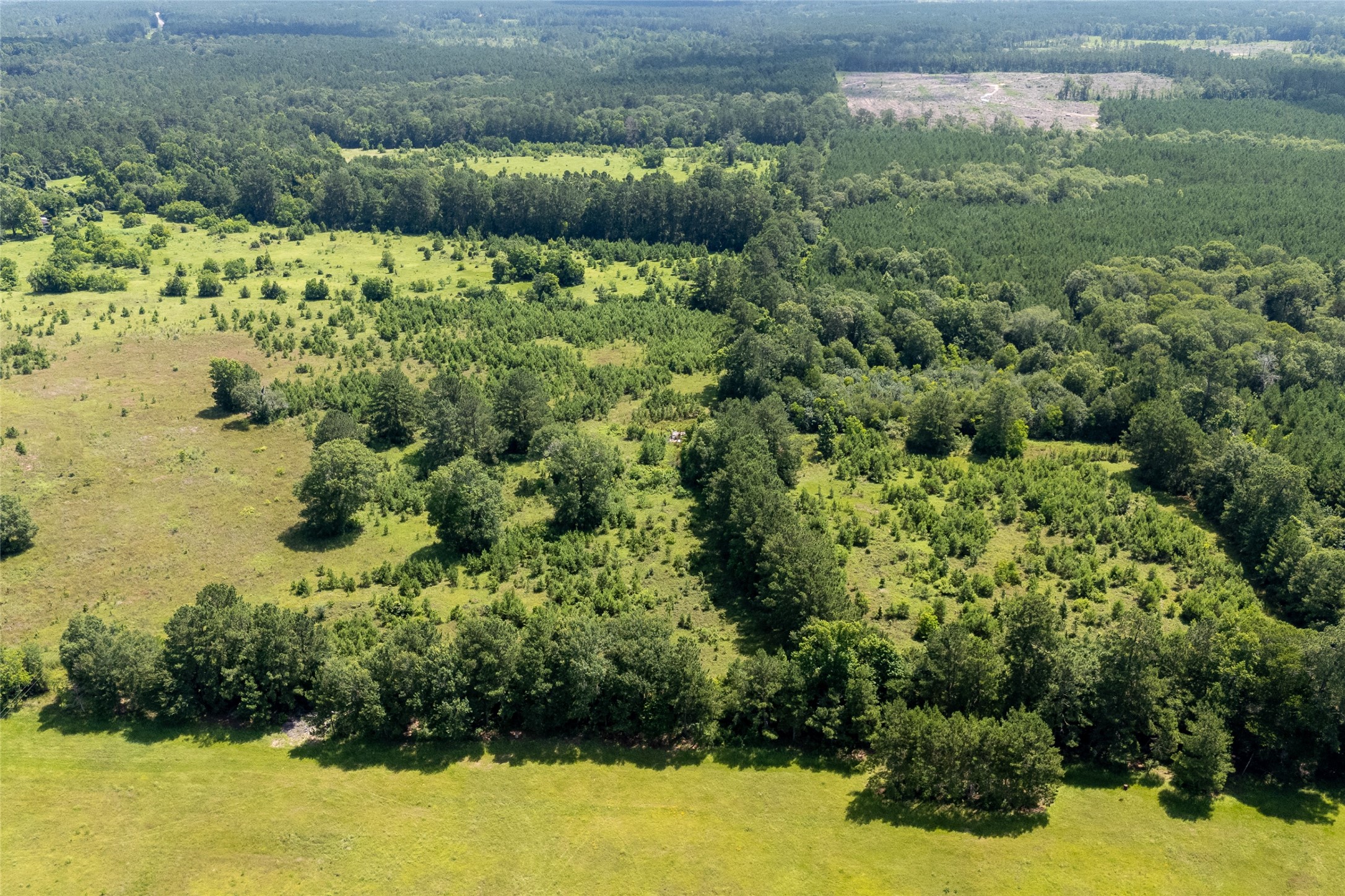 0 R L R L Moffett Street Goodrich, TX 77335 - Photo 12 of 17 a view of a garden with a lake