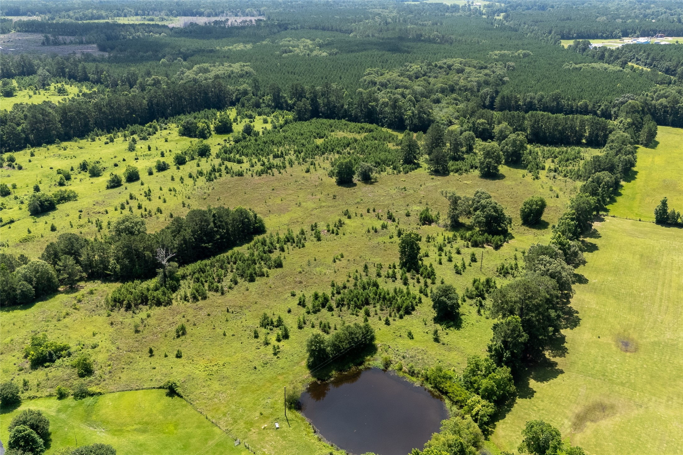 0 R L R L Moffett Street Goodrich, TX 77335 - Photo 16 of 17 a view of a garden with a pathway