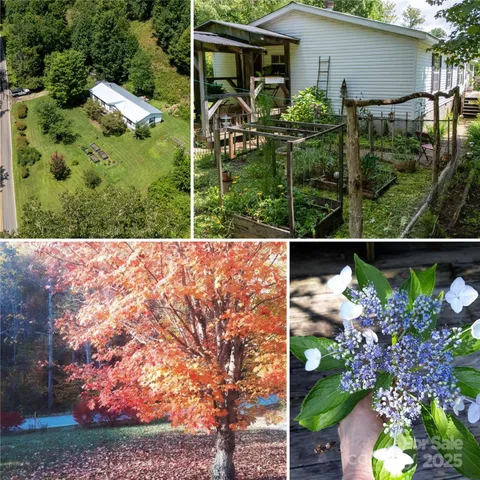 a view of a chair and table in the back yard of the house